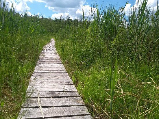 Spacer po Poleskim Parku Narodowym